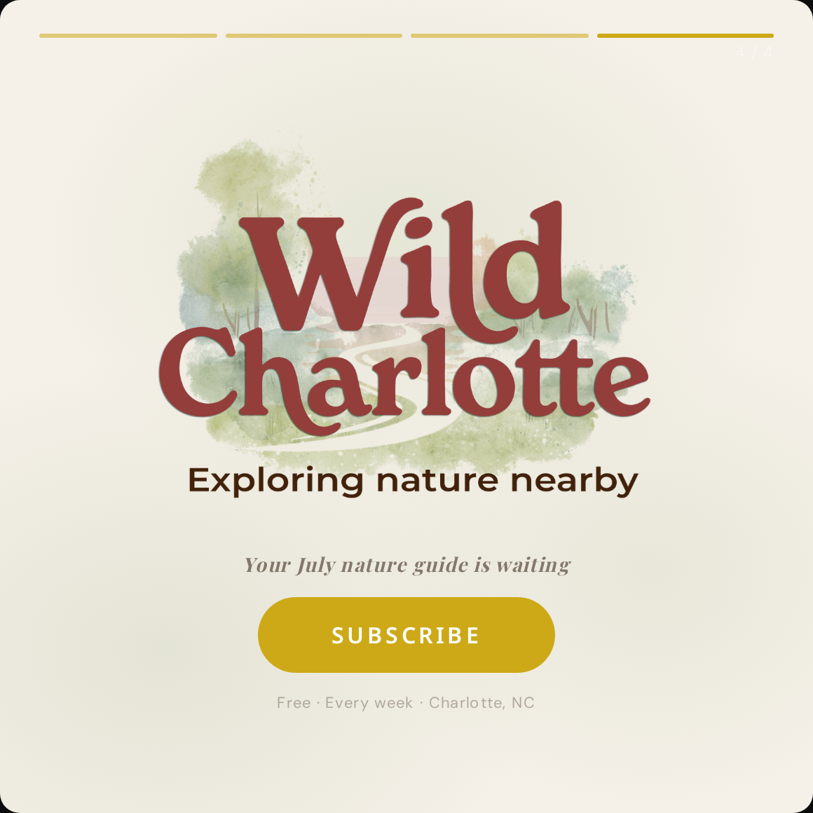Tile 04 · Trail Guide